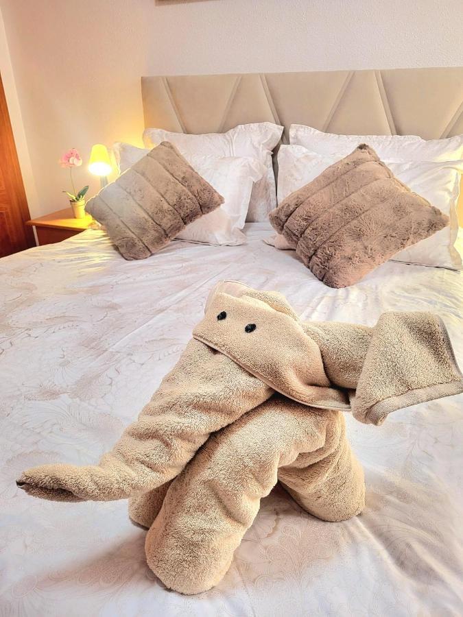 Sea Breeze Apartament Benicarló Kültér fotó